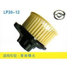 LP30-12 皮卡、面包車 汽車暖風電機