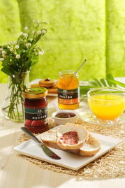 職業女性飲食保健十法 智慧平衡職場與健康